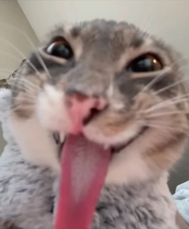 Image du post