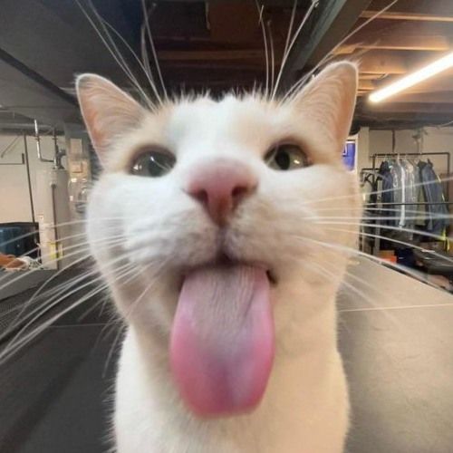 Image du post