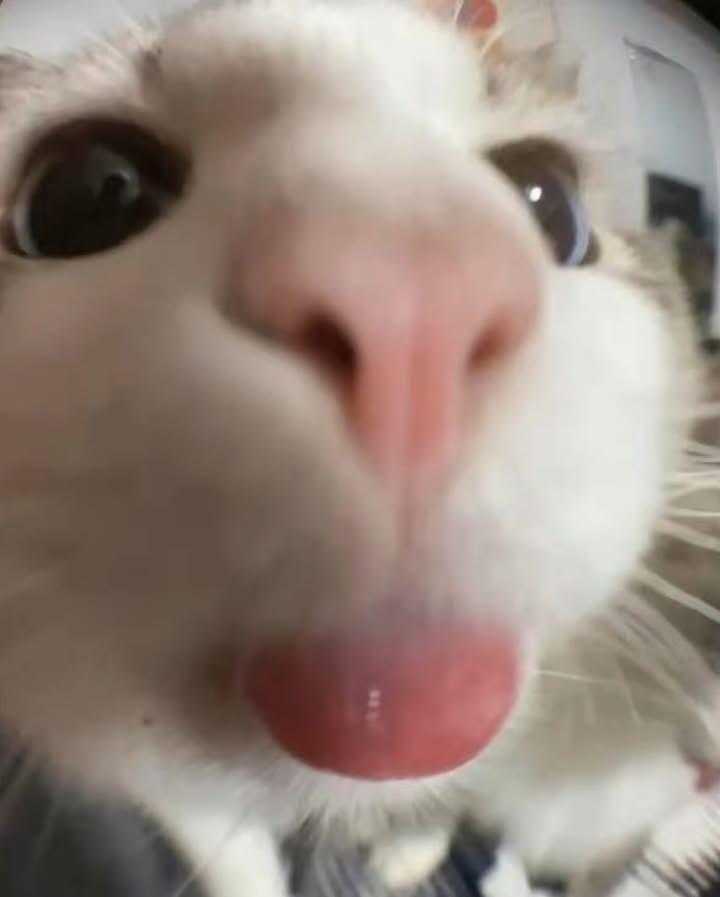 Image du post