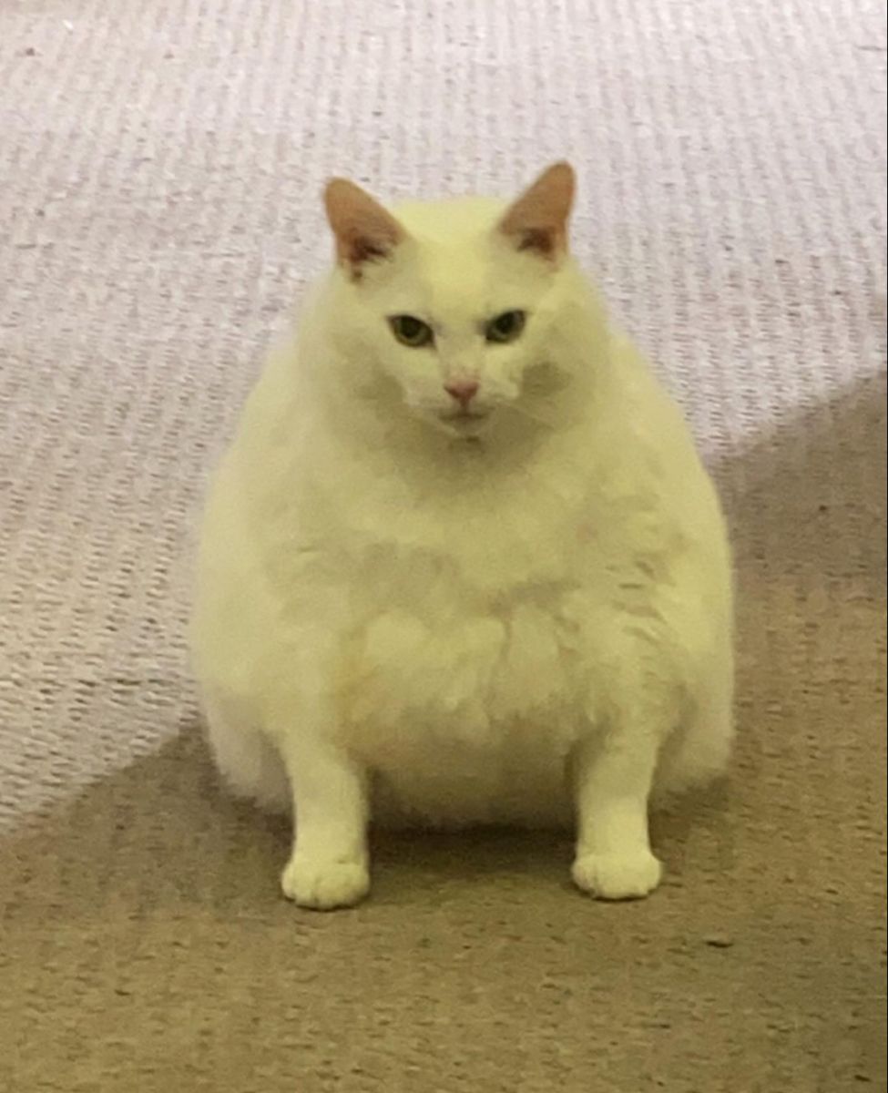 Image du post