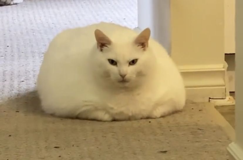 Image du post