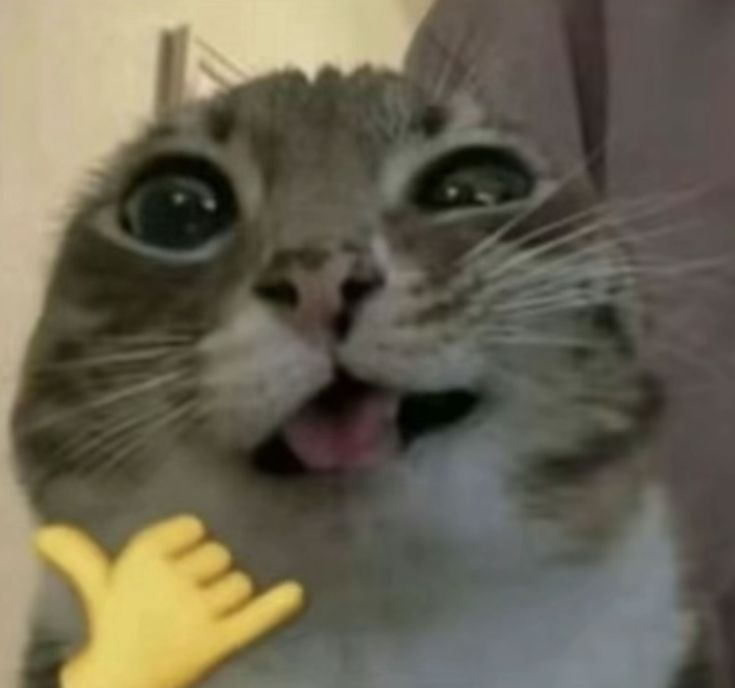 Image du post