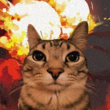 Image du post