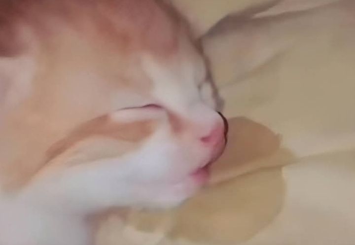 Image du post